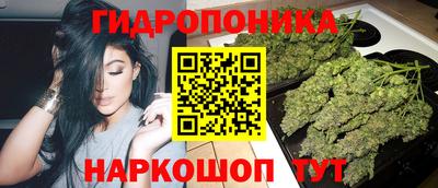 мдпв Рузаевка