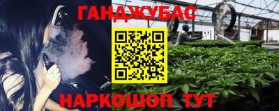 мдпв Рузаевка