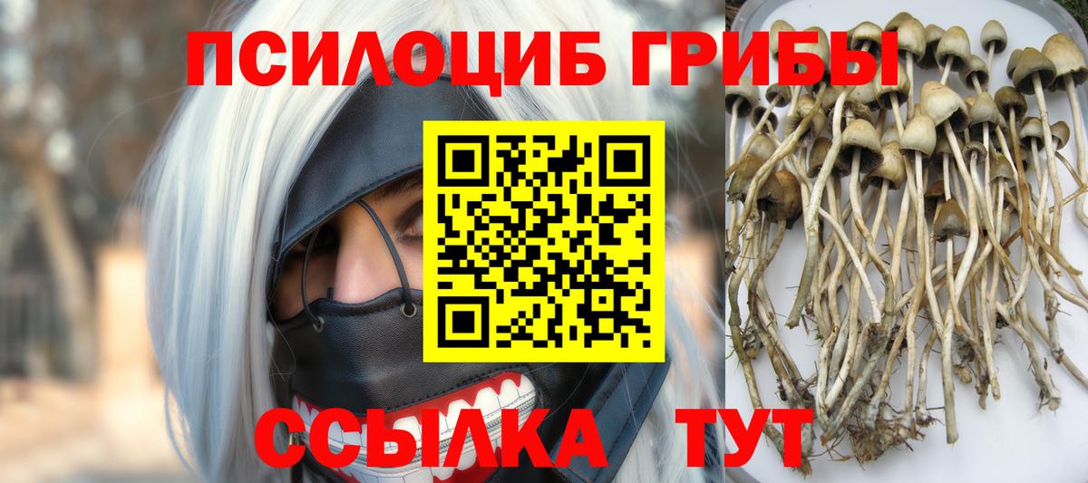 Галлюциногенные грибы Cubensis Анапа