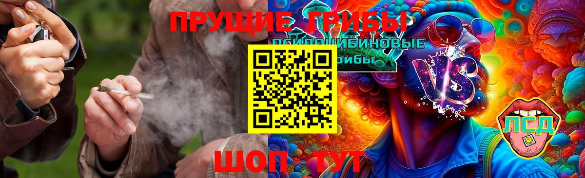 Псилоцибиновые грибы Psilocybe  Вход с VPN  Анапа 